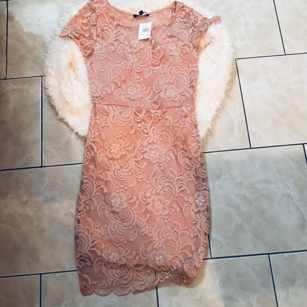 Blush Laced/Crochet Midi Dress - Picture 9 of 12
